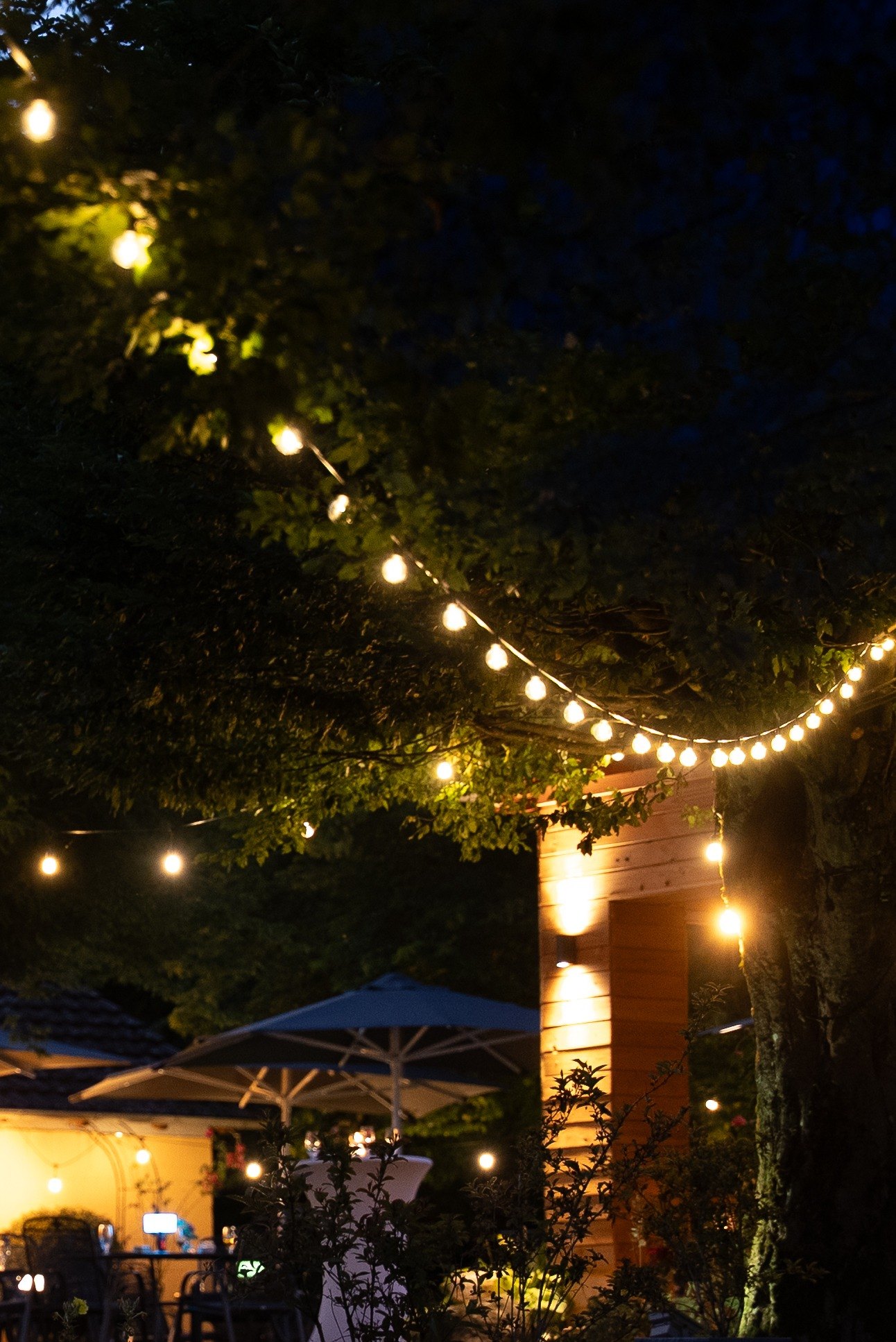Lichterketten und beleuchteter Baum am Abend