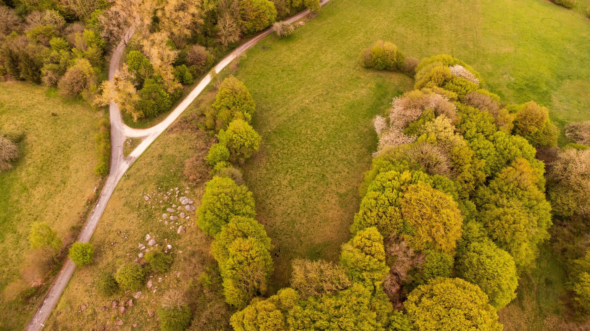 Wiese und Bäume auf dem Gelände aus der Luft